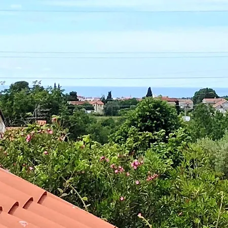 Apartman Connys